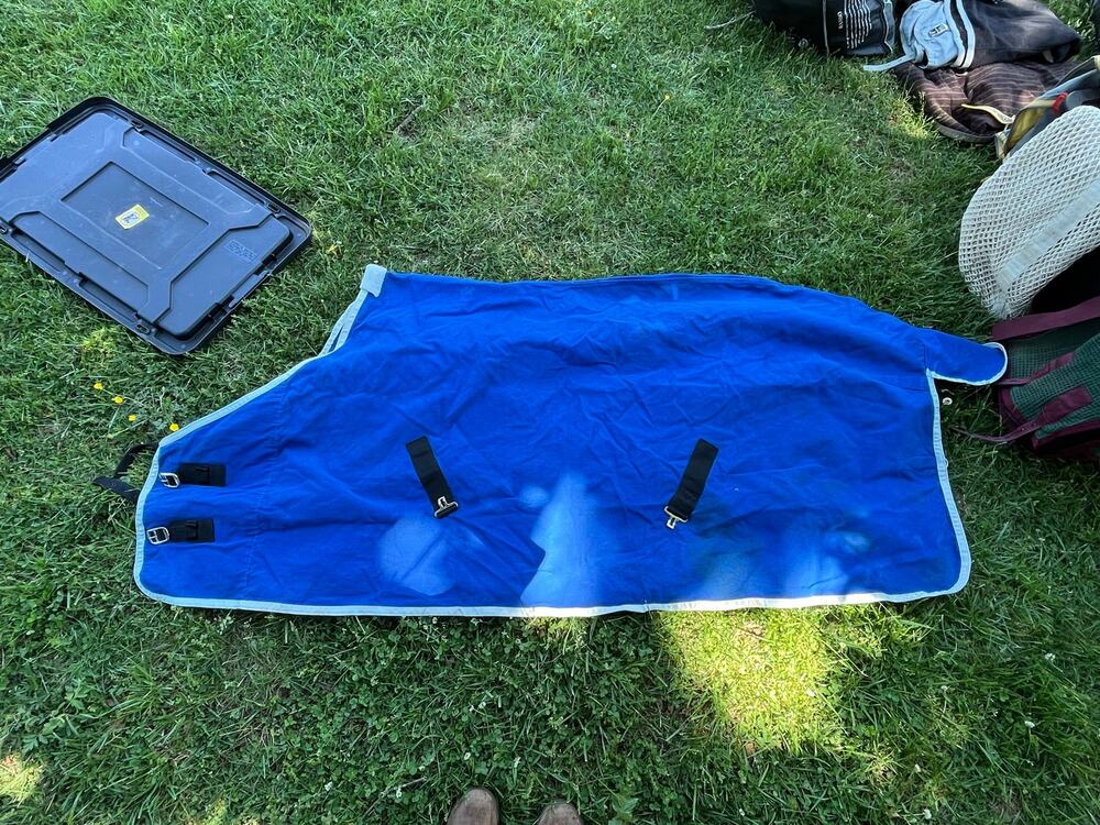 Blue Horse Stable Blanket Day Sheet size 78”